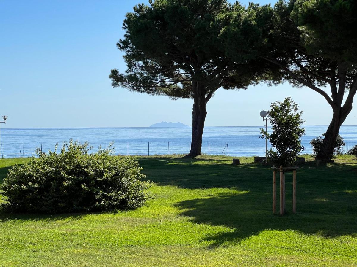 Appartement N 79 Moriani Plage Santa-Lucia-di-Moriani Exteriér fotografie